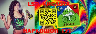 шишки Обнинск