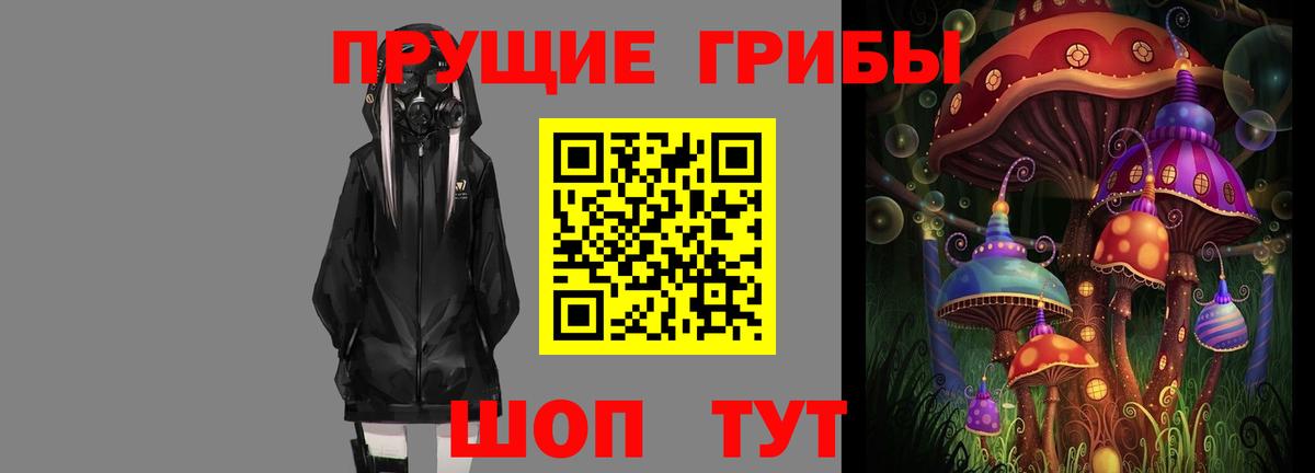 Сергиев Посад  Псилоцибиновые грибы GOLDEN TEACHER  Вход с VPN 