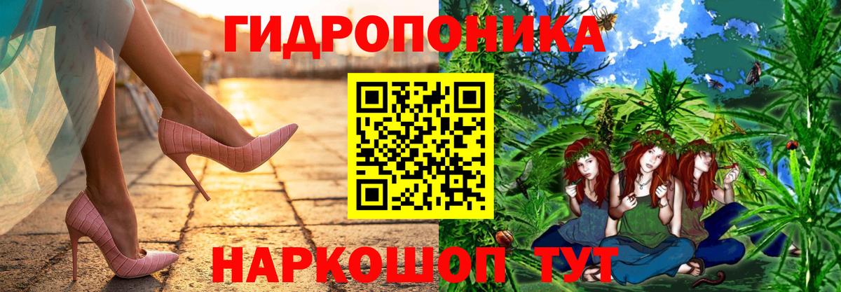 Марихуана OG Kush Сергиев Посад